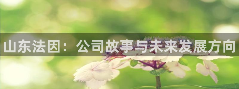 天辰娱乐 天辰平台：山东法因：公司故事与未来发展方向