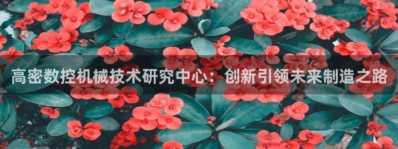 天辰娱乐简介：高密数控机械技术研究中心：创新引领未来制造之路