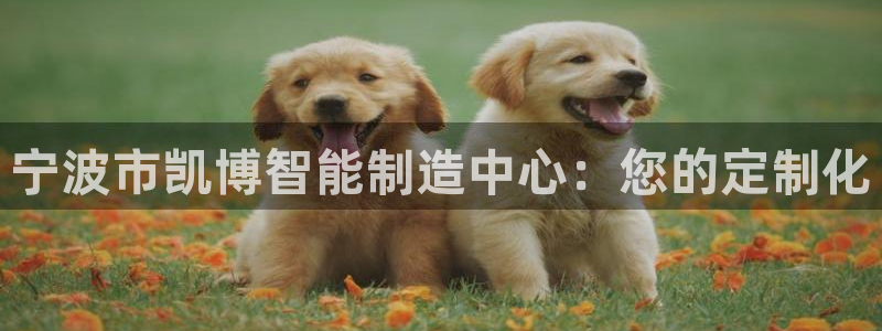 天辰娱乐登录测试