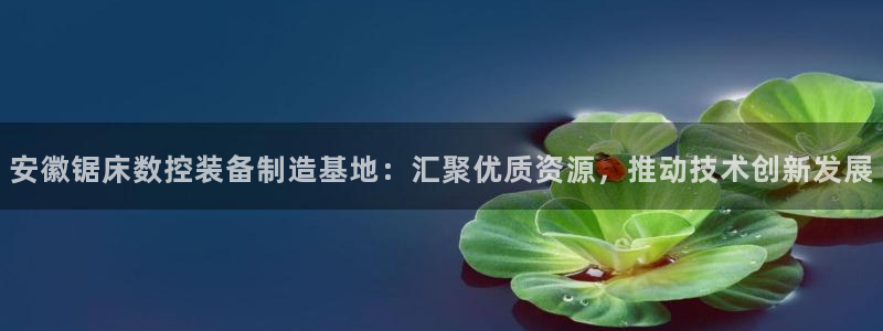 nba天辰娱乐