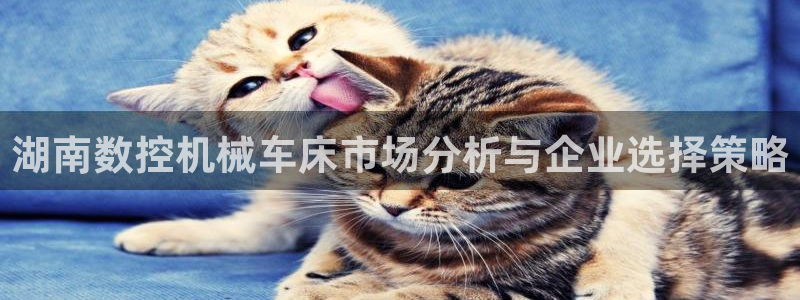 天辰娱乐75775