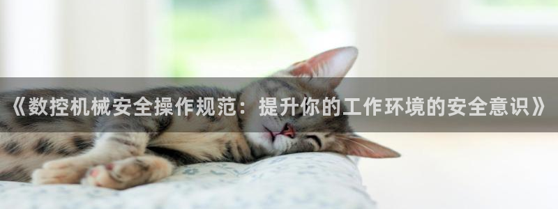天辰娱乐平台地址在哪里