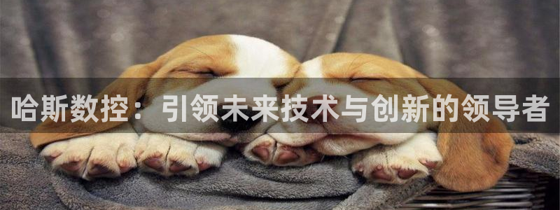天辰娱乐总管：哈斯数控：引领未来技术与创新的领导者