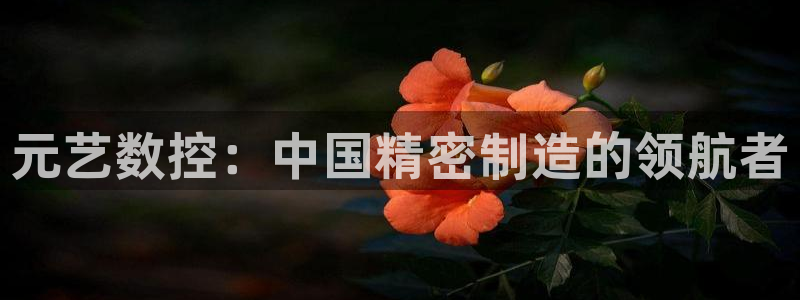 天辰说娱乐：元艺数控：中国精密制造的领航者