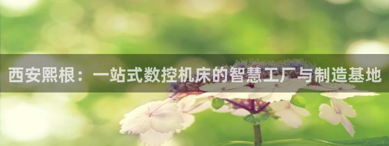 天辰娱乐代理