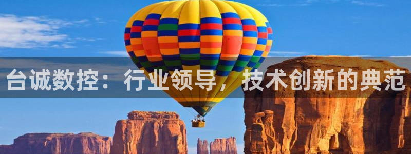 天辰娱乐公司