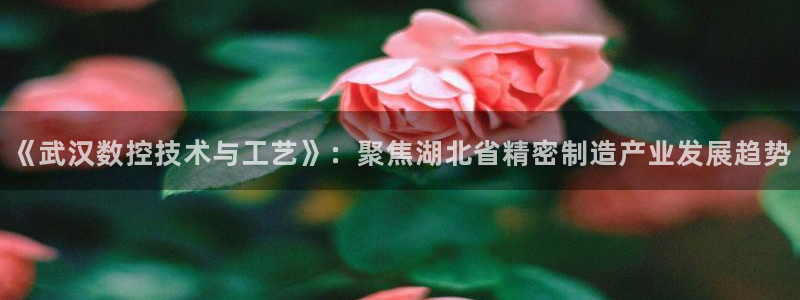 天辰娱乐在哪：《武汉数控技术与工艺》：聚焦湖北省精密制造产业发展趋势