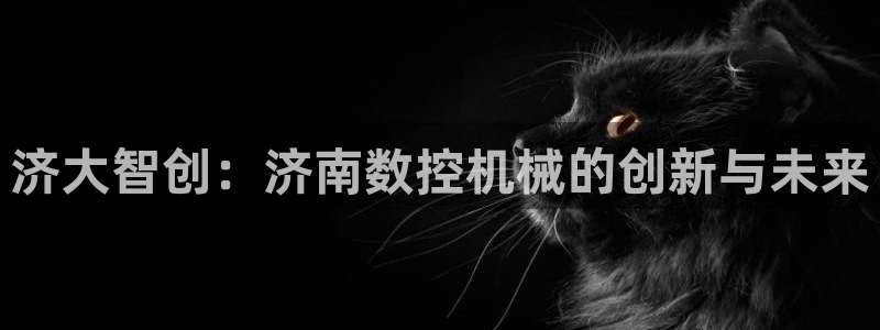 大同天辰娱乐：济大智创：济南数控机械的创新与未来