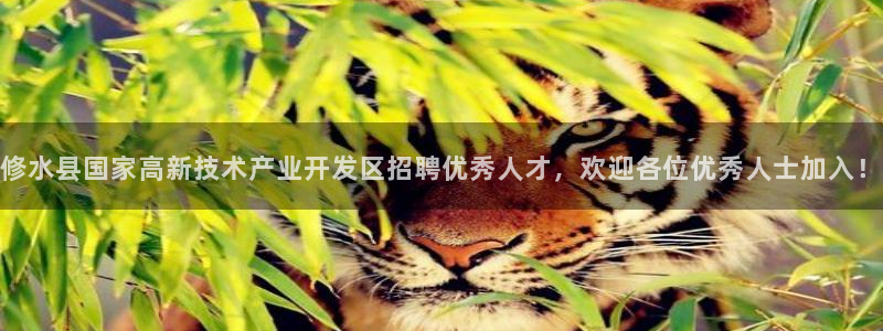 天辰娱乐挂机：修水县国家高新技术产业开发区招聘优秀人才，欢迎各位优秀人士加入！