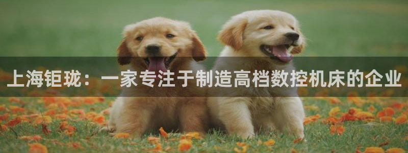 天辰娱乐ttf：上海钜珑：一家专注于制造高档数控机床的企业