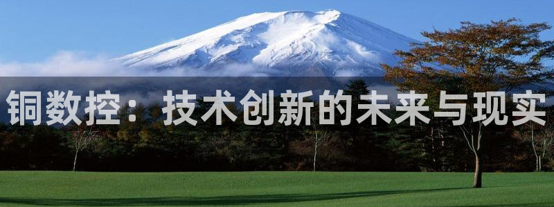 天辰娱乐主页:铜数控:技术创新的未来与现实