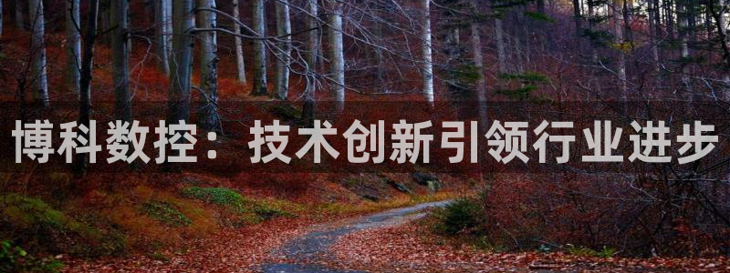 天辰娱乐平台:博科数控:技术创新引领行业进步