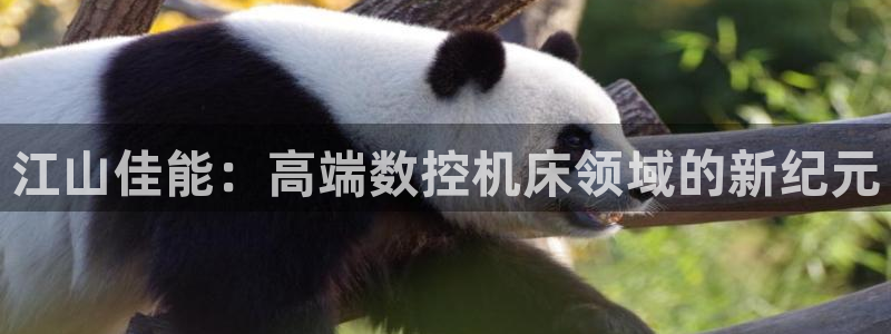 天辰娱乐:江山佳能:高端数控机床领域的新纪元