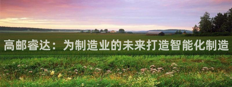 天辰娱乐728567:高邮睿达:为制造业的未来打造智能化制造