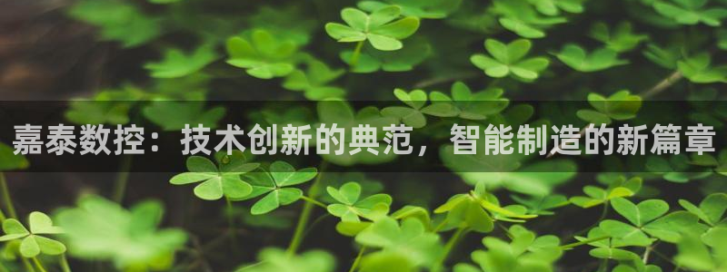 天辰娱乐输了:嘉泰数控:技术创新的典范,智能制造的新篇章