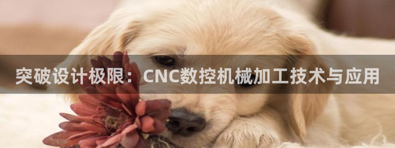 天辰娱乐 注册