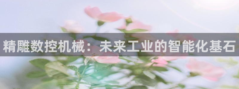 天辰娱乐官网:精雕数控机械:未来工业的智能化基石