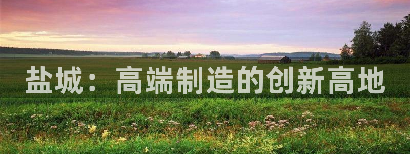 辰天娱乐：盐城：高端制造的创新高地