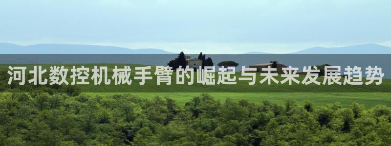 天辰娱乐 728567：河北数控机械手臂的崛起与未来发展趋势