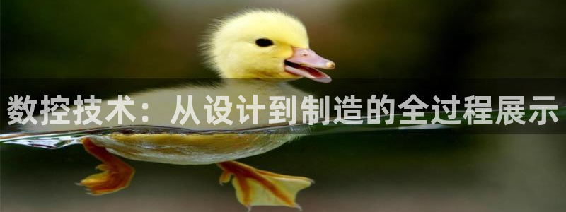 天辰臣娱乐