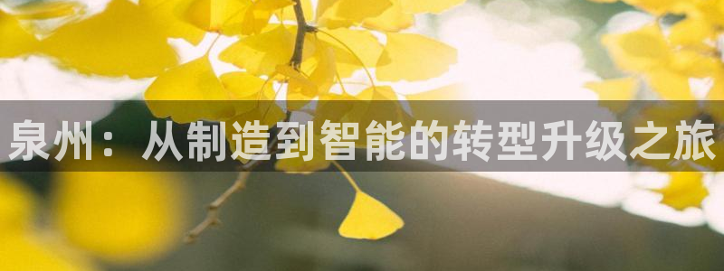 天辰娱乐主管：泉州：从制造到智能的转型升级之旅