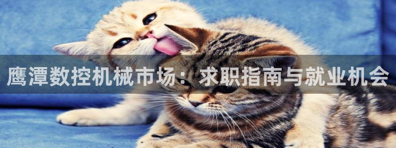 天辰娱乐官方登录入口