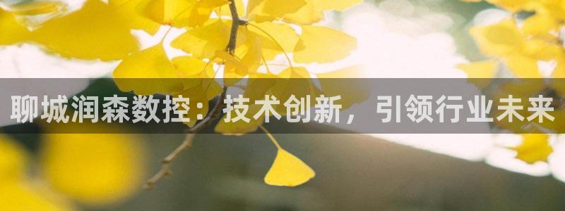 天辰(娱乐注册：聊城润森数控：技术创新，引领行业未来