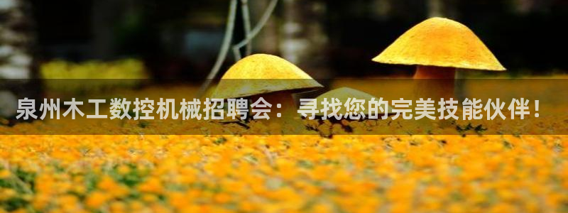 天辰娱乐ttf：泉州木工数控机械招聘会：寻找您的完美技能伙伴！